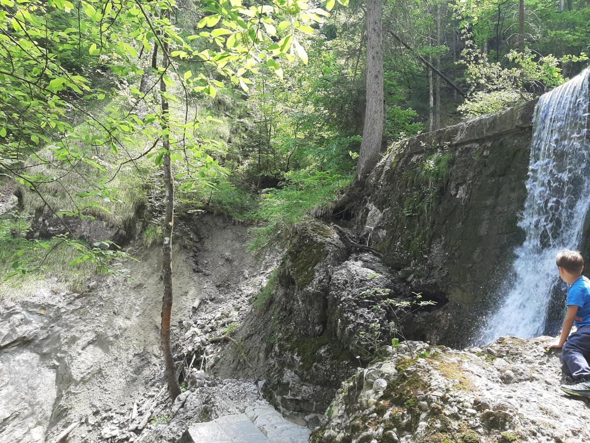 Ferienwohnung Elsa Immenstadt im Allgäu Eksteriør billede