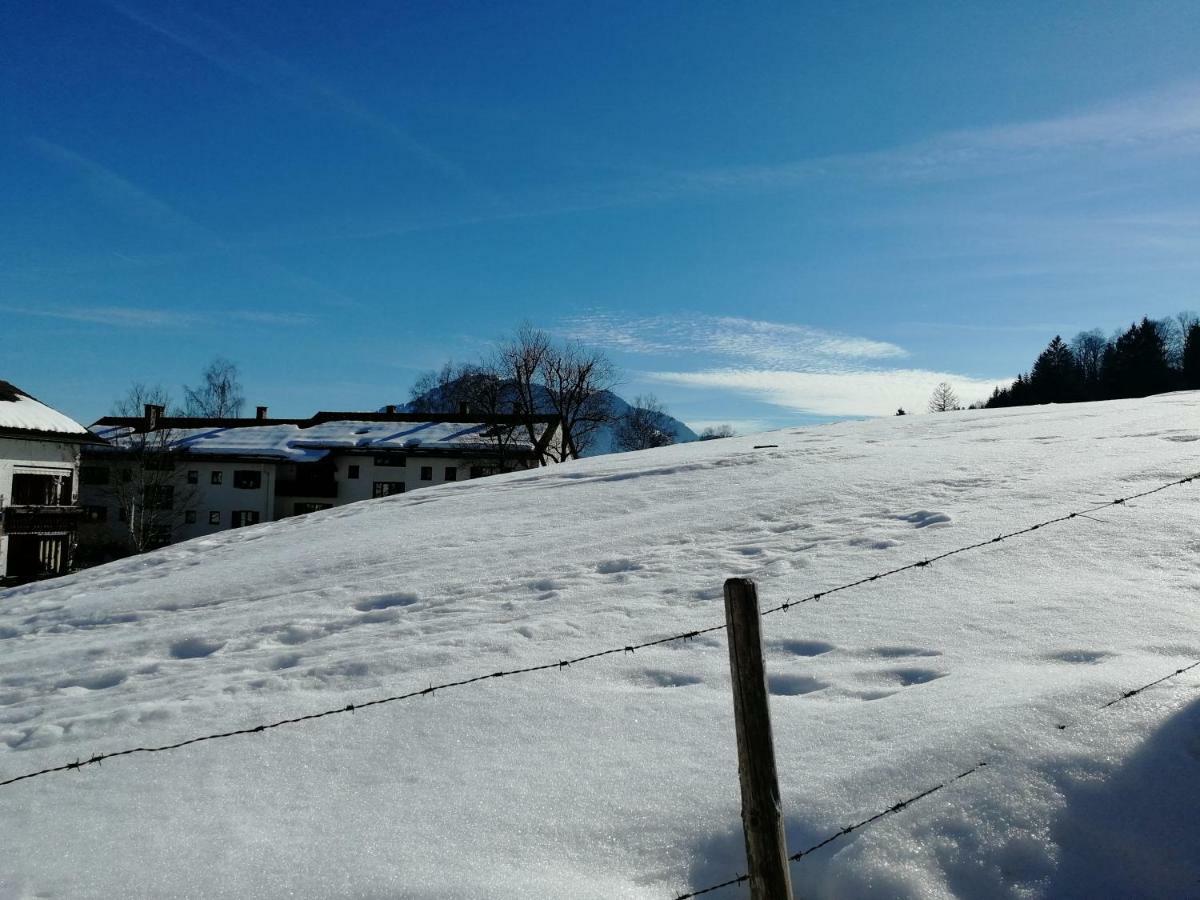 Ferienwohnung Elsa Immenstadt im Allgäu Eksteriør billede